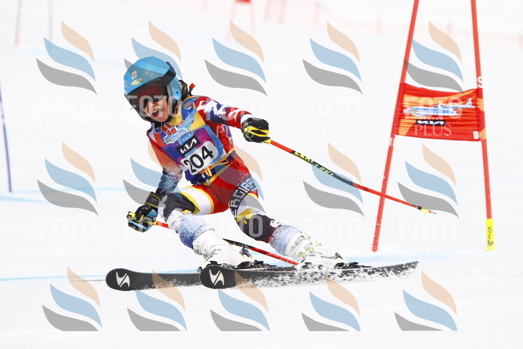 _U3G5305 | holidayphoto