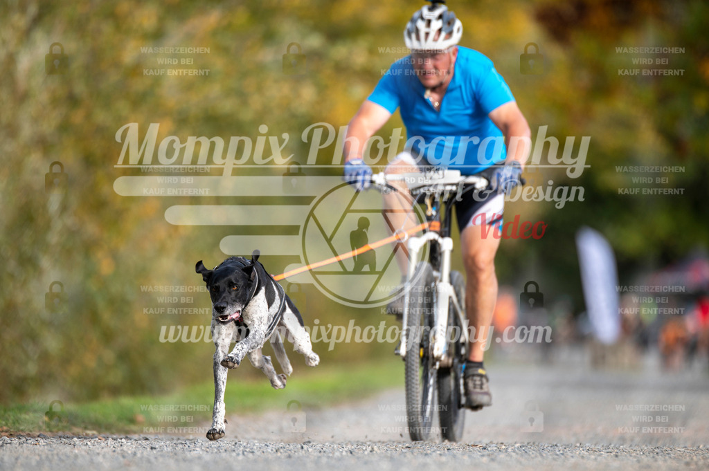 TSB_2023_E2_Bike-71 | PayLife