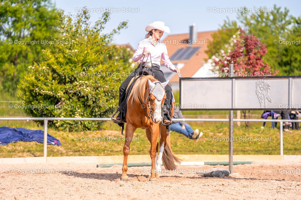AQS08961 | BS-foto