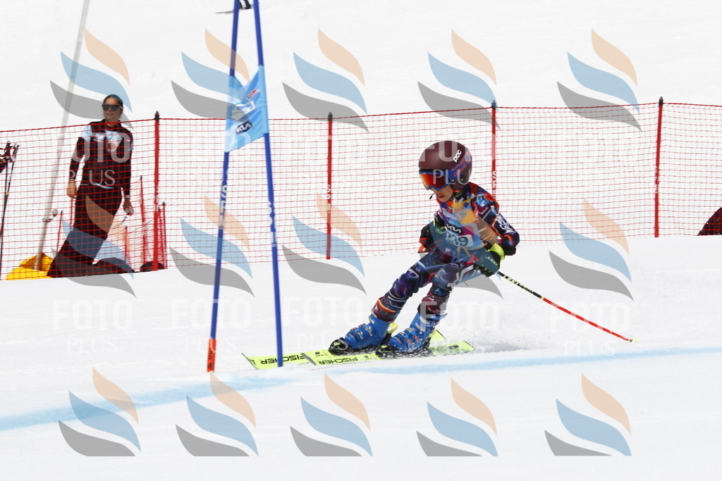 _U3G6089 | holidayphoto