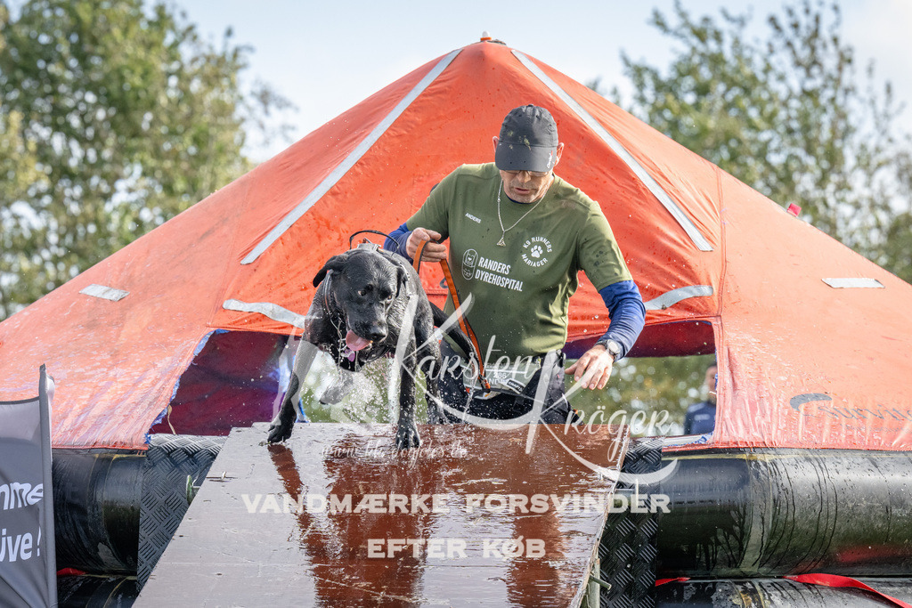 1212-92808 | kk-dogfotos
