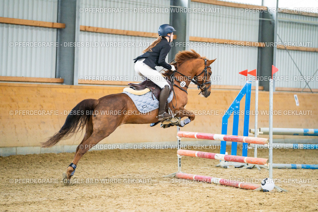 DSC00459 | Pferdegrafie