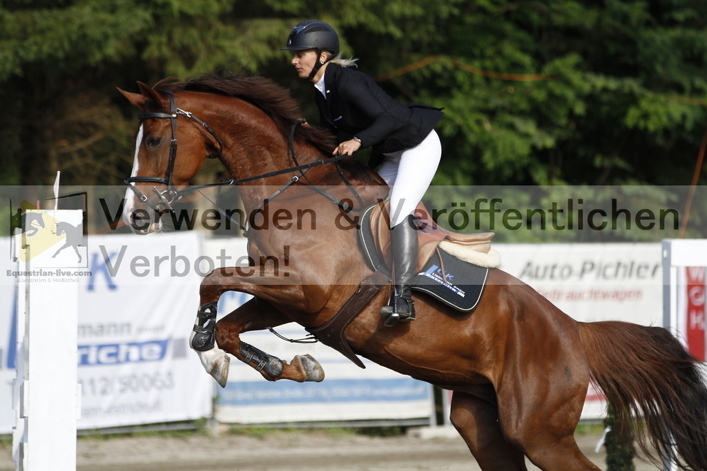 _MG_1223 | equestrian-live-com