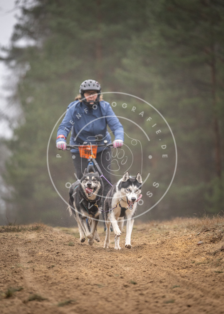 Pfotenfotografie_DV3A1206 | Hundefotografie, Tierfotograf, Pfotenfotografie, Fotoshooting Hund, Hunde Portrait, Hundesport, Hundeportraits, Heideshooting, Hunde, Sportfotograf, Hundefotograf, Turnierhundsport, THS,  - Realisiert mit Pictrs.com