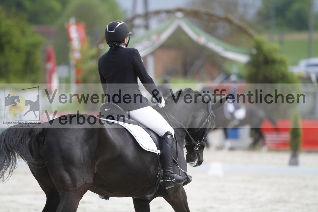 _MG_8306 | equestrian-live-com
