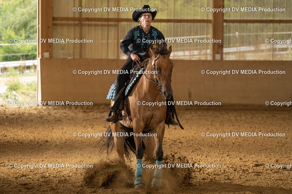 LAU01685 | dv-media-shop - Realisiert mit Pictrs.com