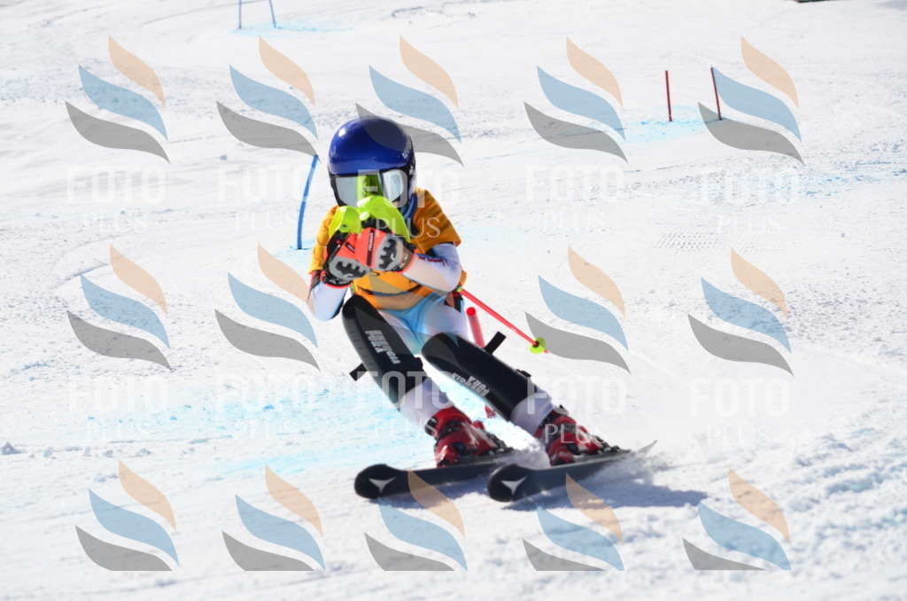 C8550 | holidayphoto