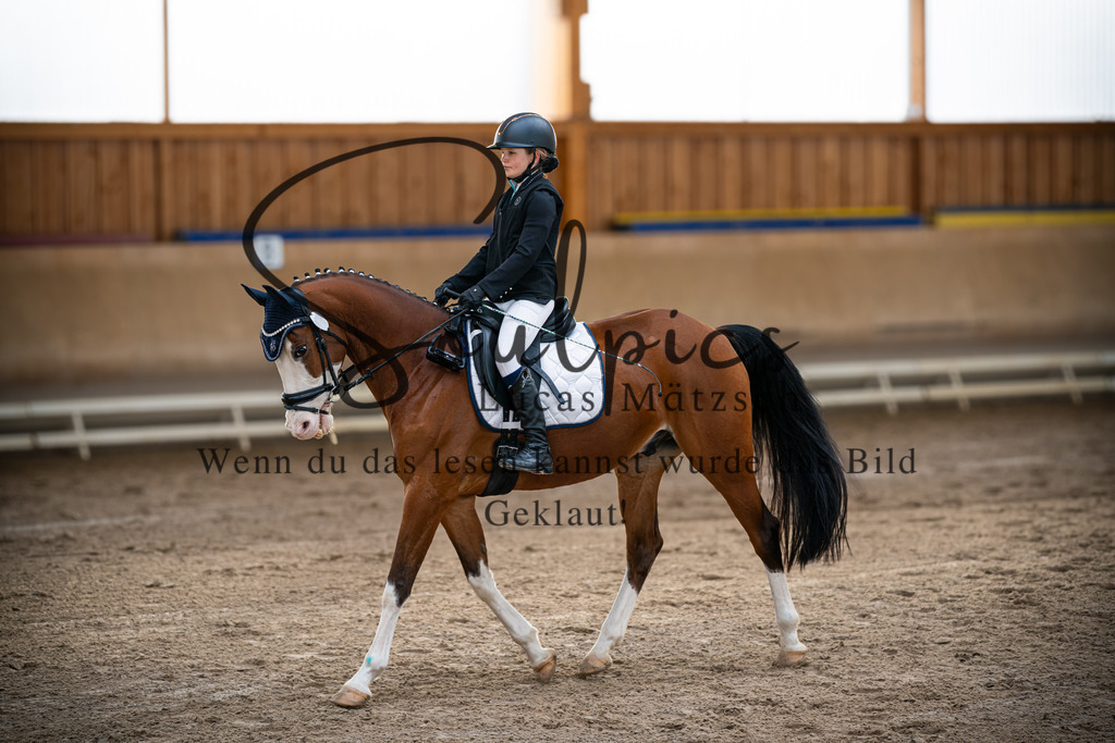 A7V09257 | Pferdefotograf