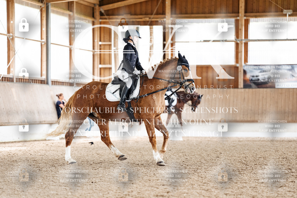 CK900871 | Turnierfotografie Pferdefotografie Trier Rheinland-Pfalz Pferdesport Reitsport Tierfotografie Sportfotografie Pferdevideo Pferdevideografie Equestrianvideography equestrianphotography  - Realisiert mit Pictrs.com
