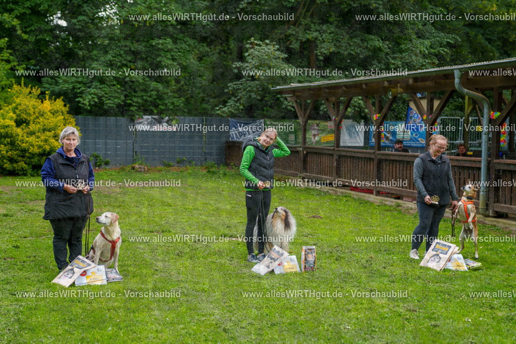 @allesWIRTHgut_Tierfotografie - www.allesWIRTHgut.de - 7R503943 | Professionelle Tierfotografie in Mönchengladbach von Daniel Wirth (allesWIRTHgut). Liebevolle & natürliche Bilder von Hunden & Katzen für unvergessliche Erinnerungen.