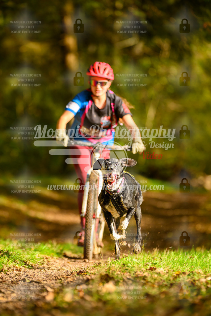 MompixPhotography_20TSB_E1_DS1-30 | PayLife