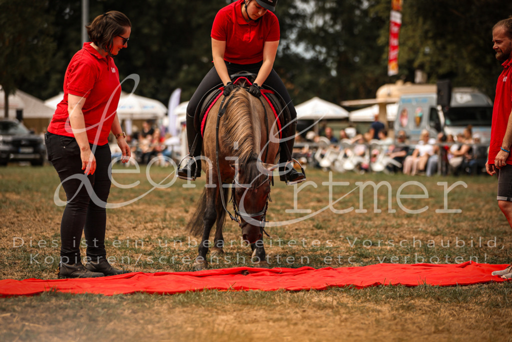 SoShow00096 | Leoni Ertmer Photography - Realisiert mit Pictrs.com