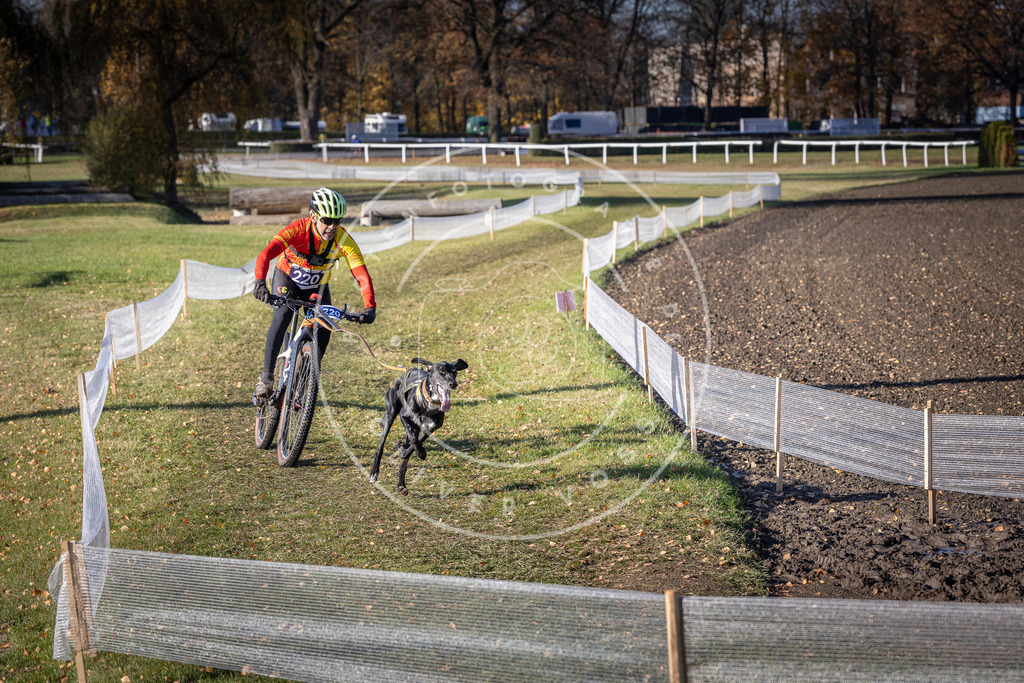 CaniXpix_DV3A3424 | Hundefotografie, Tierfotograf, Pfotenfotografie, Fotoshooting Hund, Hunde Portrait, Hundesport, Hundeportraits, Heideshooting, Hunde, Sportfotograf, Hundefotograf, Turnierhundsport, THS,  - Realisiert mit Pictrs.com