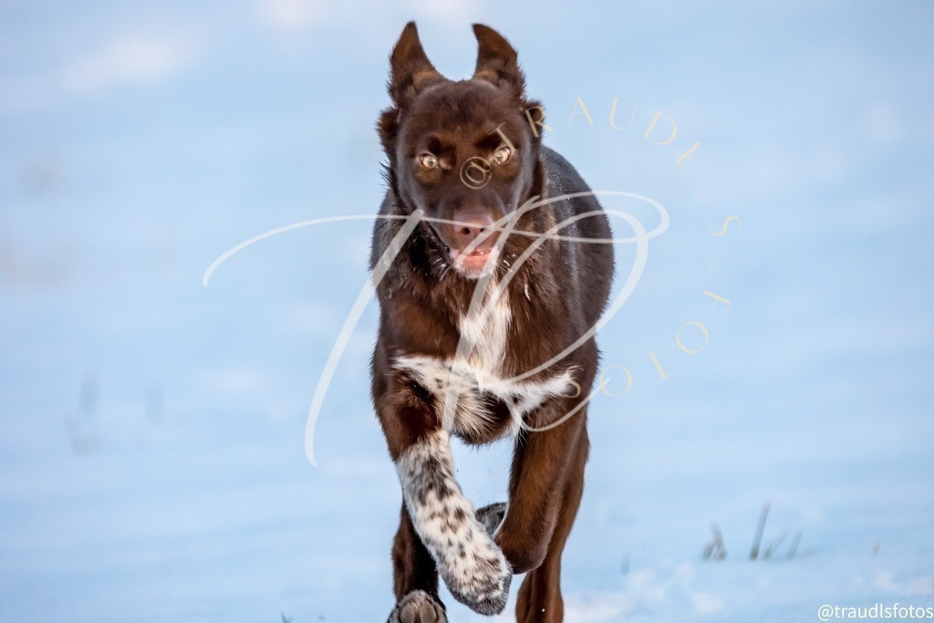 22579C3C-B5C6-4C16-8341-17E813EE8AE7 | traudl_s_fotos