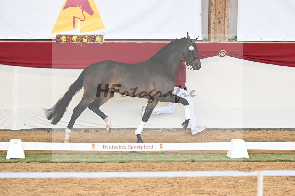 Kat.-Nr. 88 v. Zackerey_Rakelbusch_3261305 | hf-fotografie - Realizzato con Pictrs.com