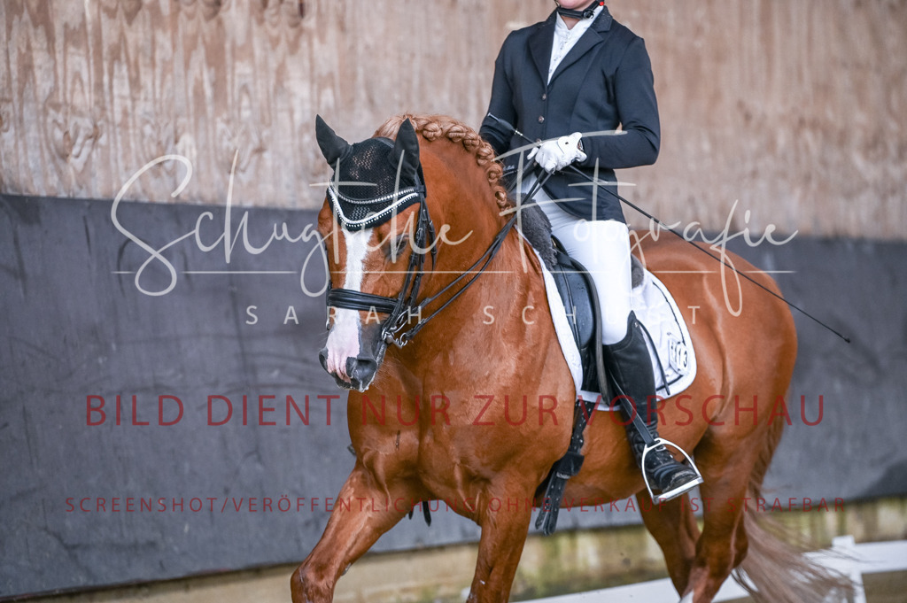 Schugtsche-Aluta25-56.Dressurprf.L1Kand.-28 | Schugtsche Fotografie - Realizzato con Pictrs.com