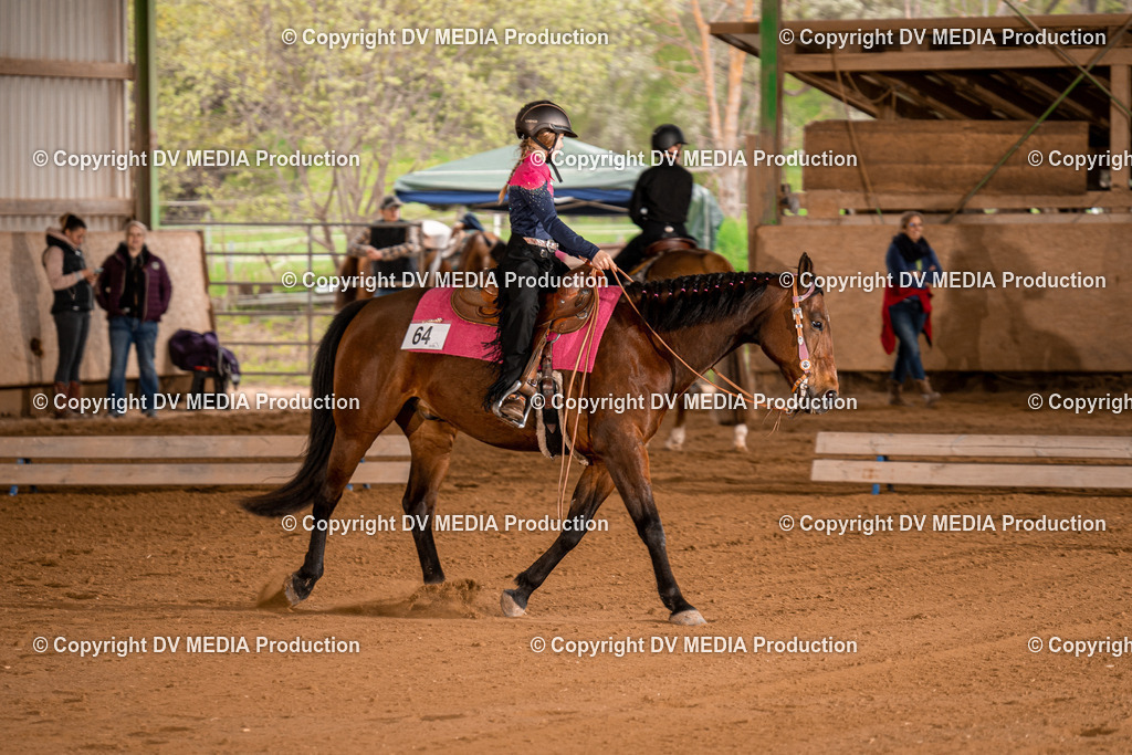 BA400631 | dv-media-shop - Realisiert mit Pictrs.com