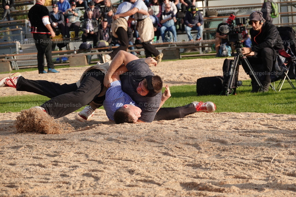 DSC08424 | Schwingen - Realisiert mit Pictrs.com