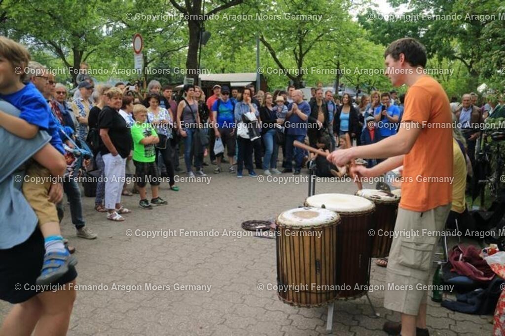 IMG_5059 | aragon-pics - Realisiert mit Pictrs.com