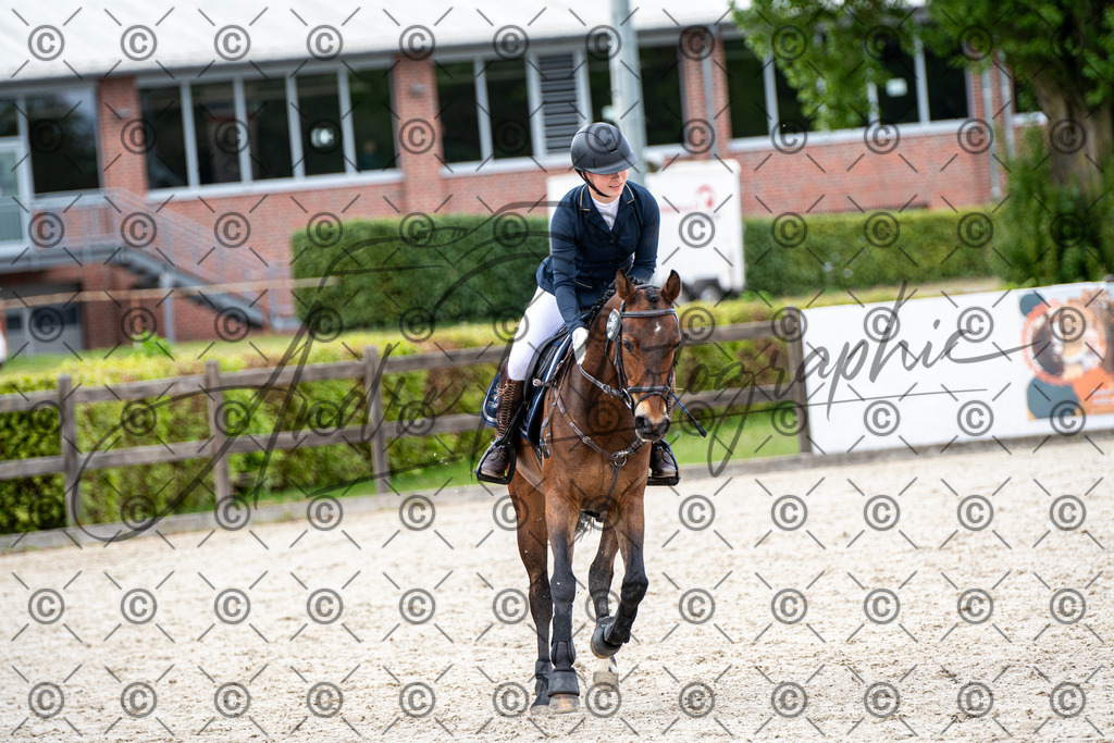 KPT_6329 | andre_photographic