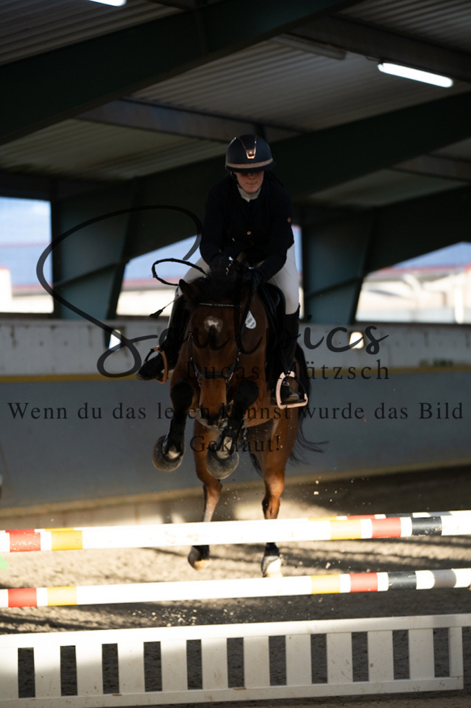 A7V02802 | Pferdefotograf