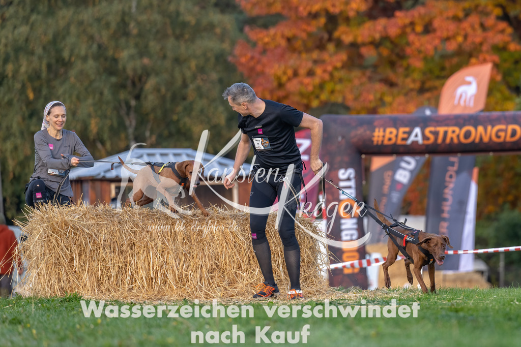 0856_ZZ91744-Bearbeitet | kk-dogfotos