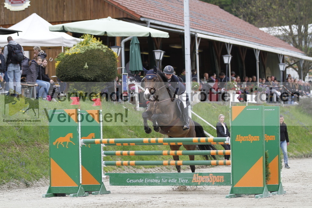 _MG_4087 | equestrian-live-com