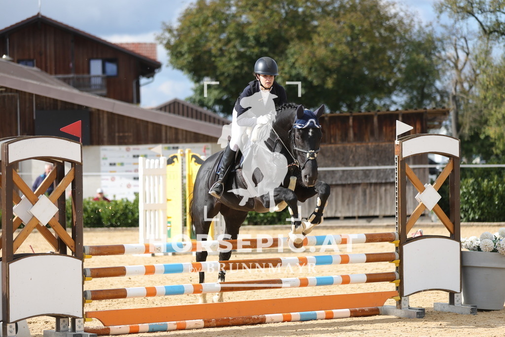 0P6A8569 | Willkommen bei Brunnmayr - Design & Fotografie – Ihrem Spezialisten für Reitturniere und Pferdeveranstaltungen in Oberösterreich, Salzburg und Bayern! Seit über 17 Jahren sind wir leidenschaftlich dabei.