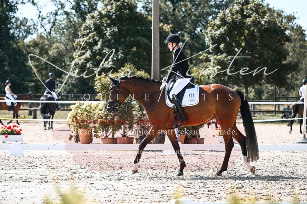 DSC_5072 | Pferde- und Turnierfotografie in Westsachsen. Pferdeportraits, Auftragszeichnungen und intuitive Kunst.