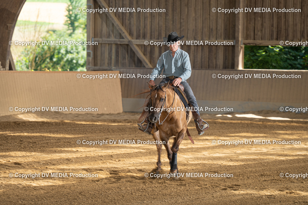 DSC00231 | dv-media-shop - Realisiert mit Pictrs.com