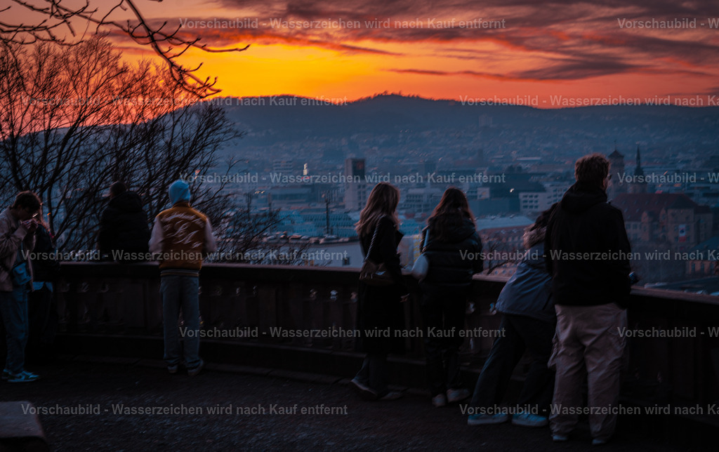 DSC06422 | marcuslinek