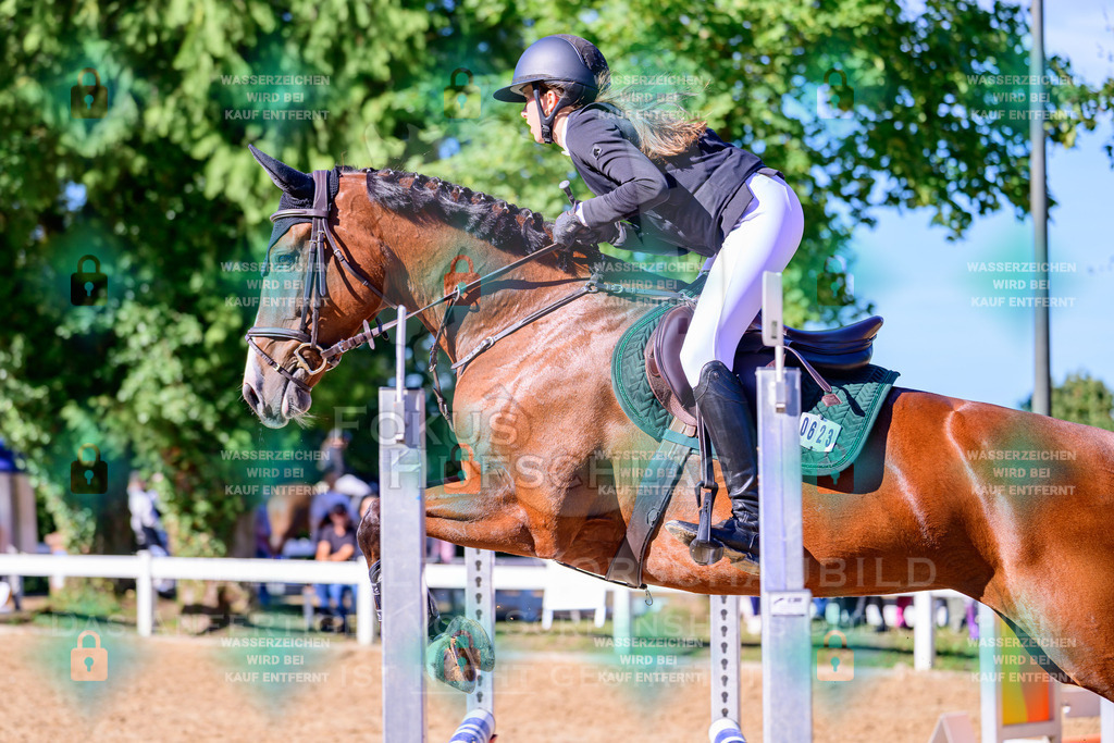 30082026-Giesenbach-Prfg16-0313 | Fokus Hufschlag Fotografie - Realisiert mit Pictrs.com