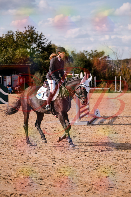 2026_10_03_Siefer-Hof_153550_Z81_48156892 | Professionelle Reitsport-, Turnier- und Eventfotografie von Robert Broda. Galerien mit ausgewählten und bearbeiteten Bildern direkt online ansehen und bestellen.