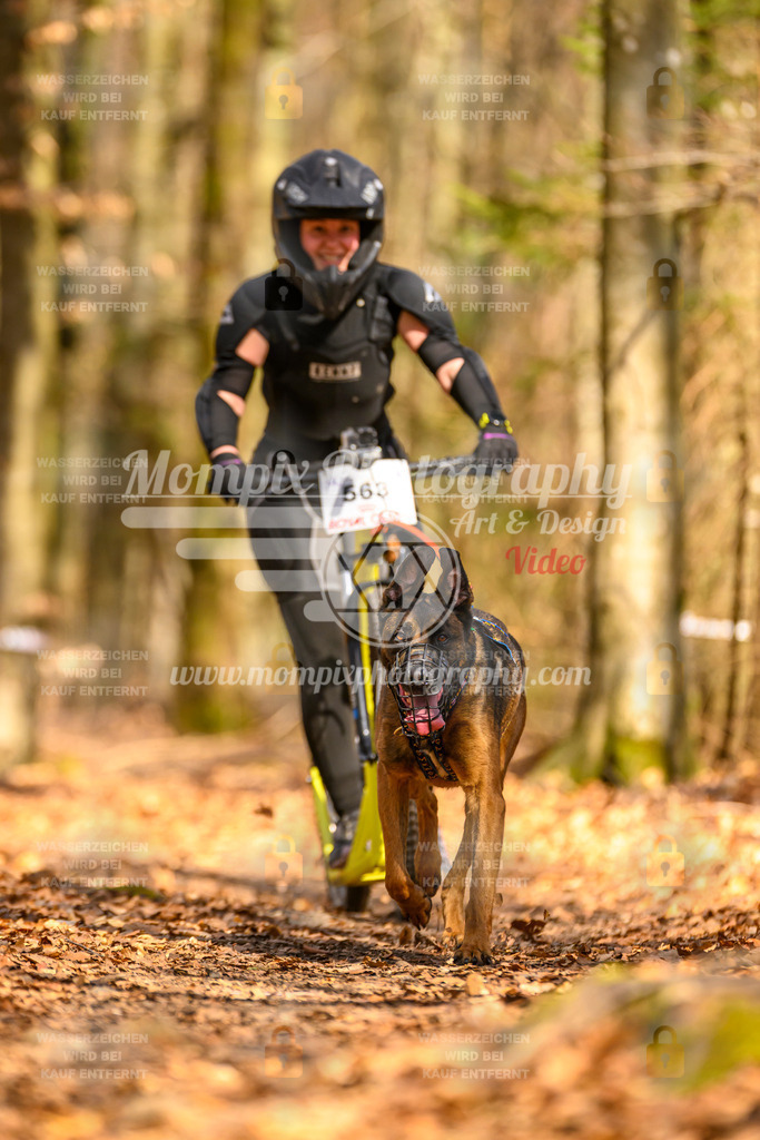 MompixPhotography_Habay2025_SA_SCO-62 | PayLife