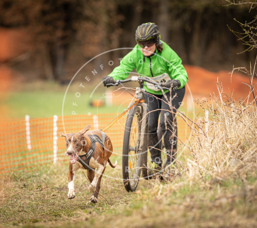 DV3A1587 | Hundefotografie, Tierfotograf, Pfotenfotografie, Fotoshooting Hund, Hunde Portrait, Hundesport, Hundeportraits, Heideshooting, Hunde, Sportfotograf, Hundefotograf, Turnierhundsport, THS,  - Realisiert mit Pictrs.com