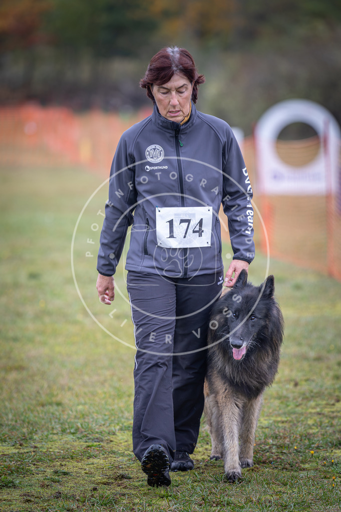 Pfotenfotografie_DV3A9247 | Hundefotografie, Tierfotograf, Pfotenfotografie, Fotoshooting Hund, Hunde Portrait, Hundesport, Hundeportraits, Heideshooting, Hunde, Sportfotograf, Hundefotograf, Turnierhundsport, THS,  - Realisiert mit Pictrs.com
