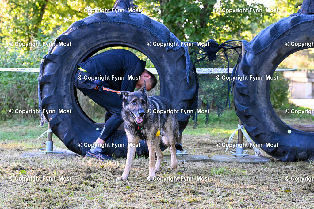DSC_4878 | Hallo und herzlich Willkommen auf meiner Shop-Seite Fynn Most.

Ich wünsche Dir viel Spaß beim stöbern durch die Bilder, wenn Du Fragen hast oder Bilder vermisst, kannst du mir gerne eine Nachricht schreiben. - Realisiert mit Pictrs.com