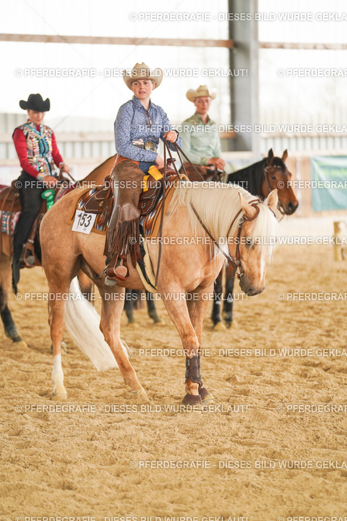 DSC06485 | Pferdegrafie