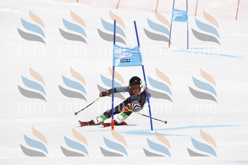 _U3G4238 | holidayphoto