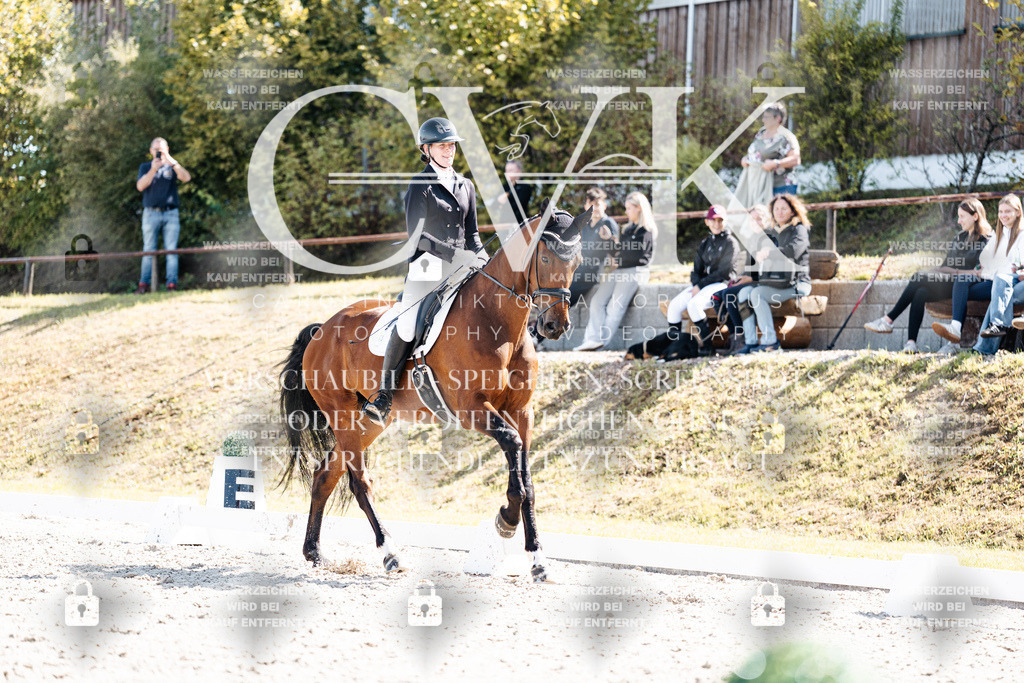 CK902969 | Turnierfotografie Pferdefotografie Trier Rheinland-Pfalz Pferdesport Reitsport Tierfotografie Sportfotografie Pferdevideo Pferdevideografie Equestrianvideography equestrianphotography  - Realisiert mit Pictrs.com