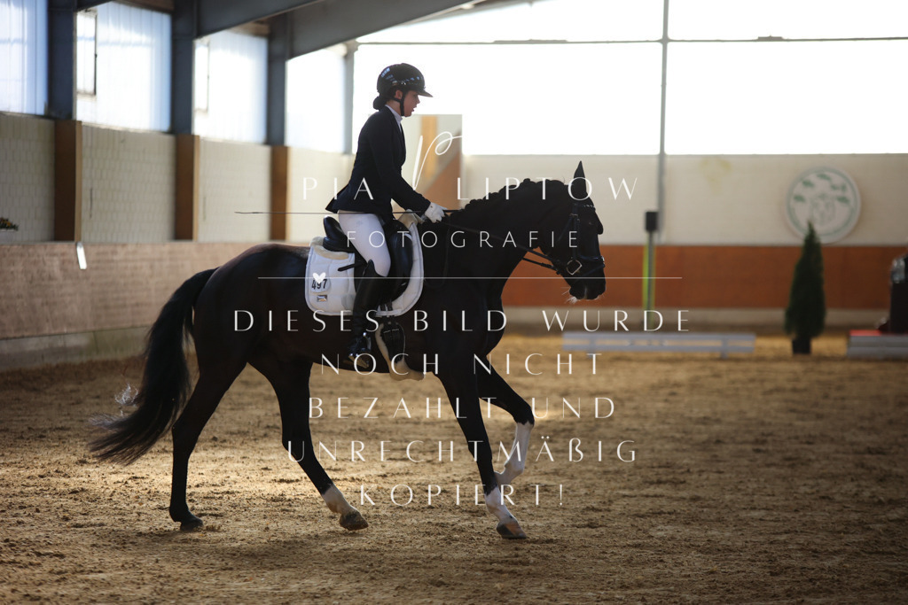 IMGT6179 | pl-fotografie