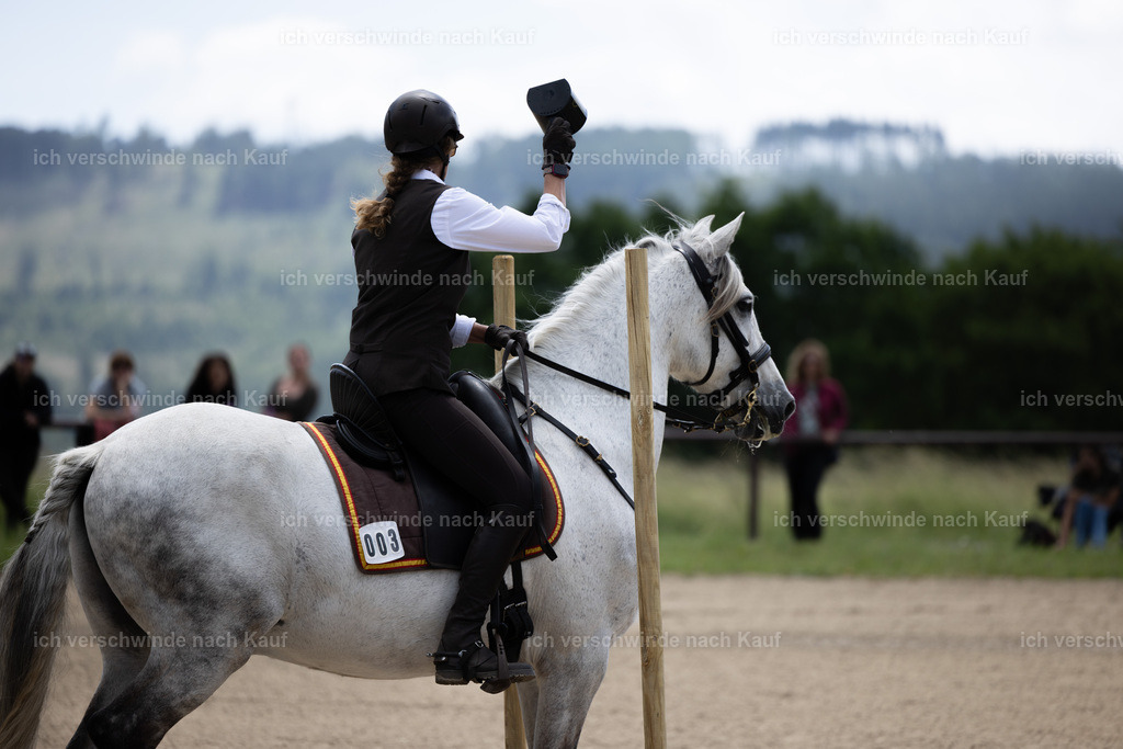 Masterclass_stoibphotography_C2_C8050.CR3 | working equitationturnier fotograf videograf stoibphotography marixx film working equitation deutschland reitsport turnierfotografie eventfotografie equestrian events