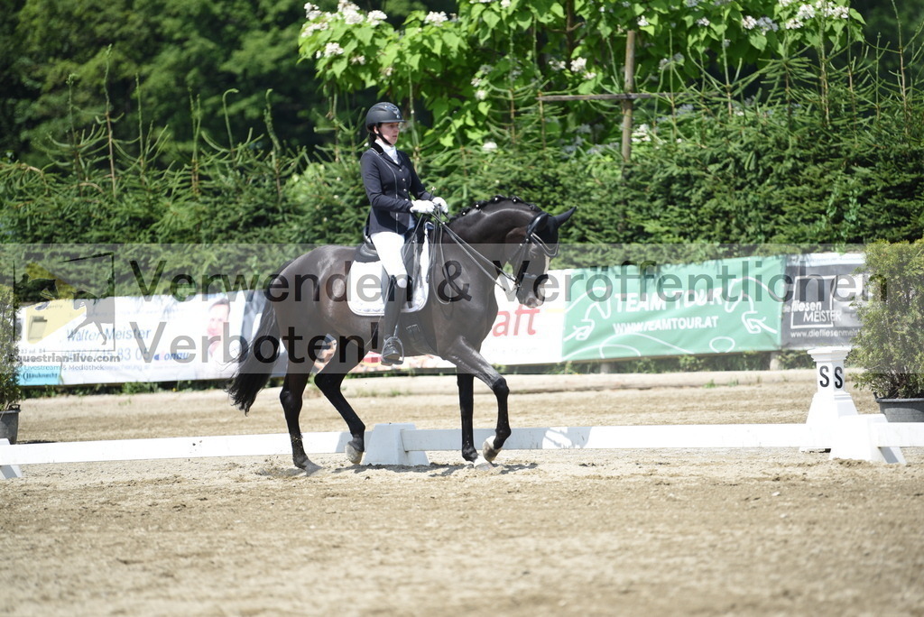 DSC_9025 | equestrian-live-com