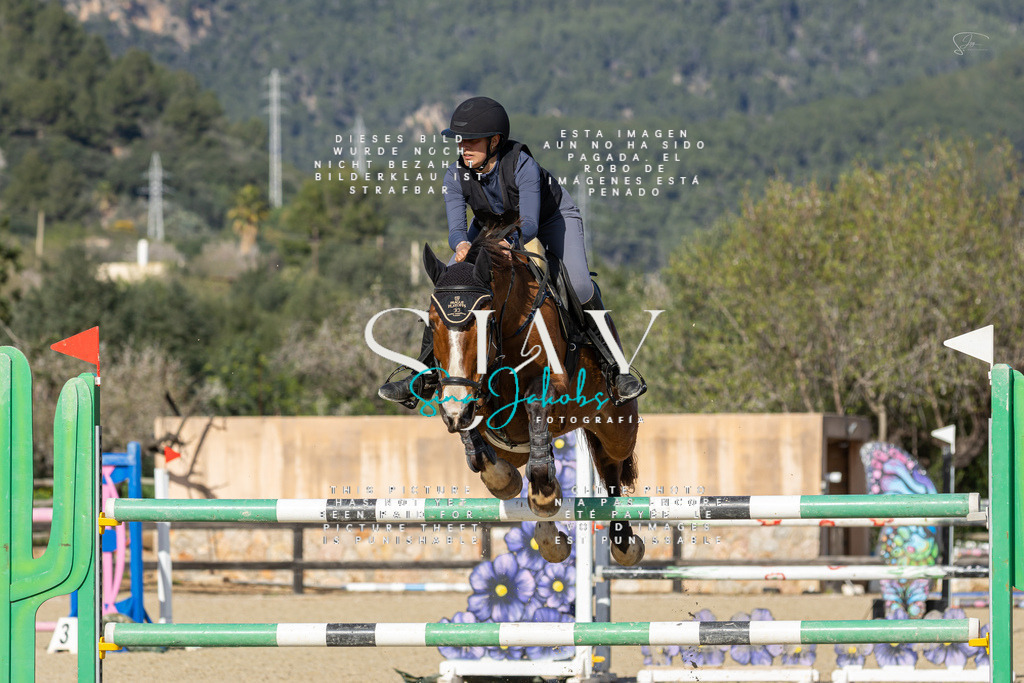 IMG_6913 | s-jay-photography - Realisiert mit Pictrs.com