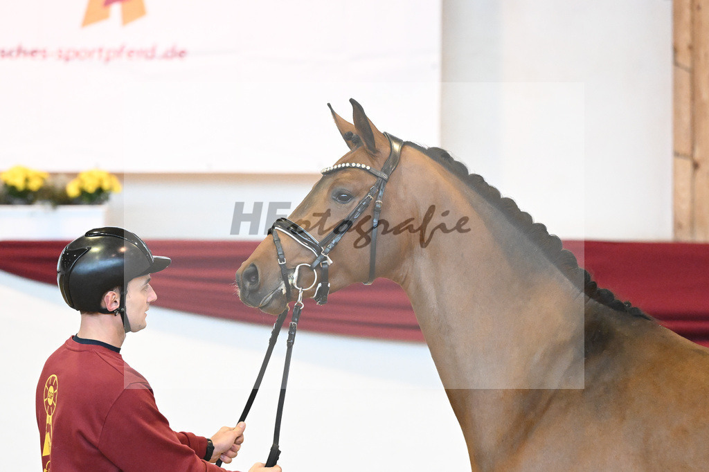 Kat-Nr. 35 v. Imposantos_Dusak_66222080 | hf-fotografie - Realisiert mit Pictrs.com