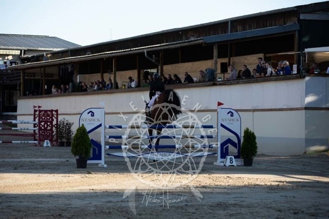 2B4A0790 | pixelfaenger - Realisiert mit Pictrs.com