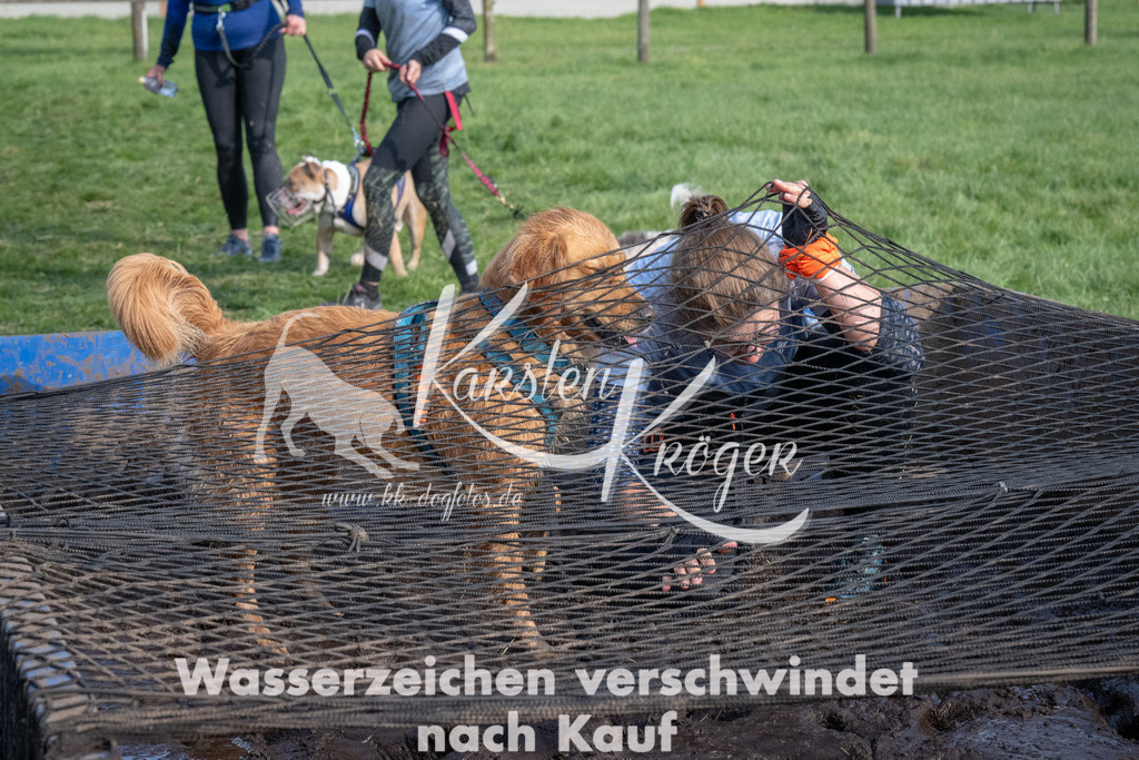 1609_ZZ91765 | kk-dogfotos