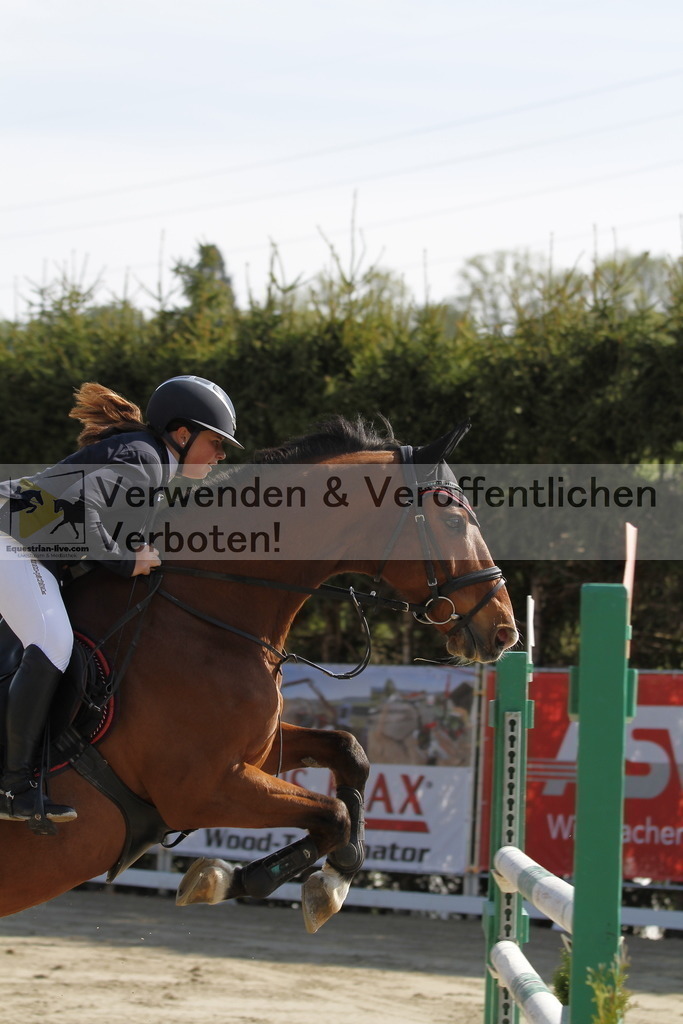 _MG_9189 | equestrian-live-com