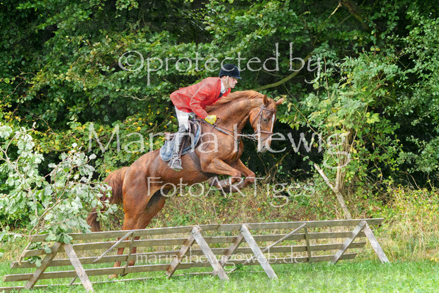 Jagd Perdoel_MarinaHewigMCH04470 | Fotografie, FotoArt, PferdesportArt, Pferdesportfotografie, Landschaftsfotografie, Reisefotografie, Reise, Pferde - Realisiert mit Pictrs.com