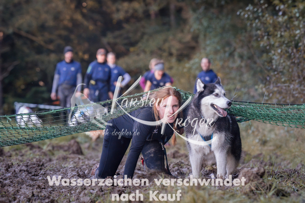1045_ZZ92221 | kk-dogfotos
